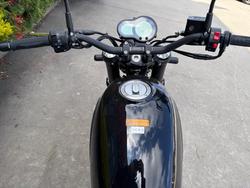 2022 Benelli LEONCINO (ABS) BLACK