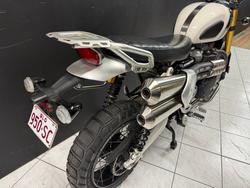 2019 TRIUMPH SCRAMBLER 1200 XE White