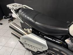 2019 TRIUMPH SCRAMBLER 1200 XE White