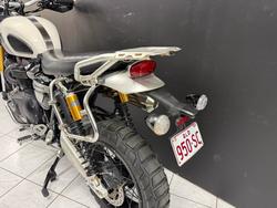 2019 TRIUMPH SCRAMBLER 1200 XE White