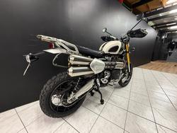 2019 TRIUMPH SCRAMBLER 1200 XE White