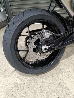 2024 KTM 790 DUKE GREY