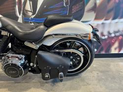 2014 Harley-Davidson Breakout 103 (FXSB) Softail Gold