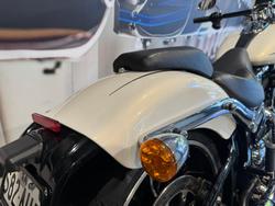 2014 Harley-Davidson Breakout 103 (FXSB) Softail Gold