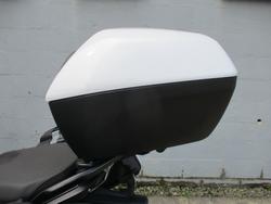 2024 BMW Motorrad R 1250 RS WHITE