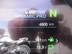 2024 BMW Motorrad R 1250 RS WHITE