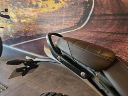 2024 Triumph Scrambler 400 X Scrambler White