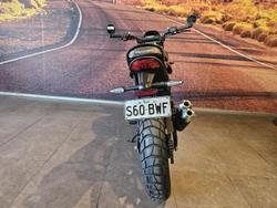 2024 Triumph Scrambler 400 X Scrambler White