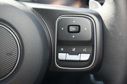 2025 GWM Cannon Vanta