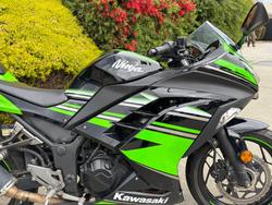2017 Kawasaki NINJA 300 Green