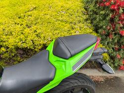 2017 Kawasaki NINJA 300 Green