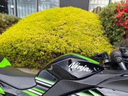 2017 Kawasaki NINJA 300 Green