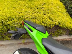 2017 Kawasaki NINJA 300 Green