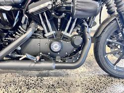 2019 Harley-Davidson Iron 883 (XL883N) Sportster