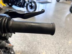 2019 Harley-Davidson Iron 883 (XL883N) Sportster