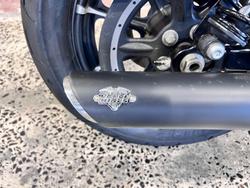 2019 Harley-Davidson Iron 883 (XL883N) Sportster