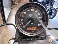 2019 Harley-Davidson Iron 883 (XL883N) Sportster