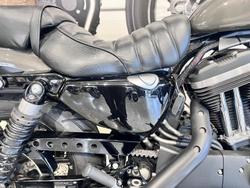 2019 Harley-Davidson Iron 883 (XL883N) Sportster