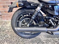 2019 Harley-Davidson Iron 883 (XL883N) Sportster