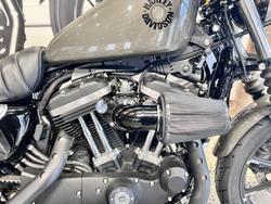 2019 Harley-Davidson Iron 883 (XL883N) Sportster