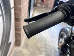 2019 Harley-Davidson Iron 883 (XL883N) Sportster