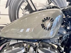 2019 Harley-Davidson Iron 883 (XL883N) Sportster