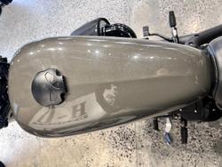 2019 Harley-Davidson Iron 883 (XL883N) Sportster