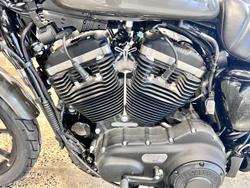 2019 Harley-Davidson Iron 883 (XL883N) Sportster