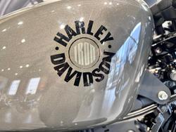 2019 Harley-Davidson Iron 883 (XL883N) Sportster