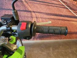 2023 Kawasaki KLX150BF (KLX150F) KLX Green