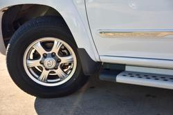 2020 Great Wall Steed