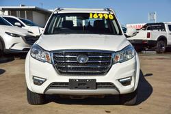 2020 Great Wall Steed