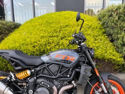 2023 Indian FTR Grey