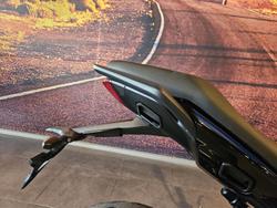 2025 Triumph Tiger Sport 800 Tiger Blue