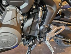 2025 Triumph Tiger Sport 800 Tiger Blue