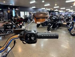 2025 Harley-davidson FLFB FAT BOY (117) Blue