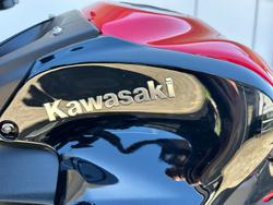 2024 Kawasaki Z900 (ZR900) RED