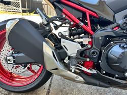 2024 Kawasaki Z900 (ZR900) RED