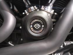 2024 Harley-Davidson Fat Bob 114 (FXFBS) Softail Black