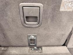 2025 Ford Everest Trend