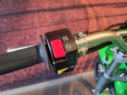 2025 Kawasaki KLX140RL KLX Green