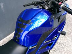 2015 Kawasaki NINJA 300 SE ABS Blue