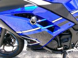 2015 Kawasaki NINJA 300 SE ABS Blue