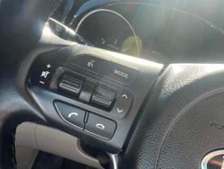 2019 Kia
                Carnival Platinum