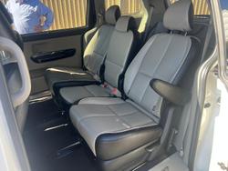 2019 Kia
                Carnival Platinum