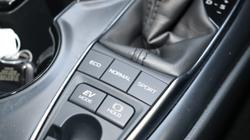 2019 Toyota
Camry Ascent