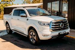 2022 GWM Ute Cannon-X