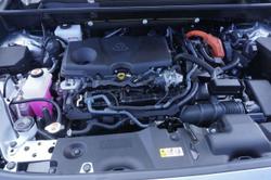 2022 Toyota RAV4 Cruiser