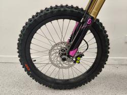 2025 Sur-ron LIGHT BEE X PINK