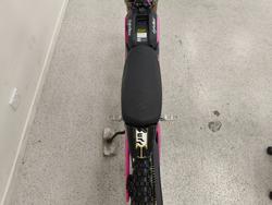 2025 Sur-ron LIGHT BEE X PINK